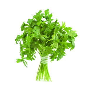 Świeża natka pietruszki w ofercie Midex Herbs. Sprzedaż hurtowa i detaliczna.
